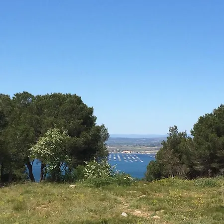 Cosy 4 Pers, 200m Plage, Animaux Admis - Fr-1-338-615 Daire Sète