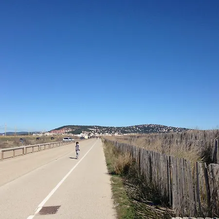 Cosy 4 Pers, 200m Plage, Animaux Admis - Fr-1-338-615 Sète