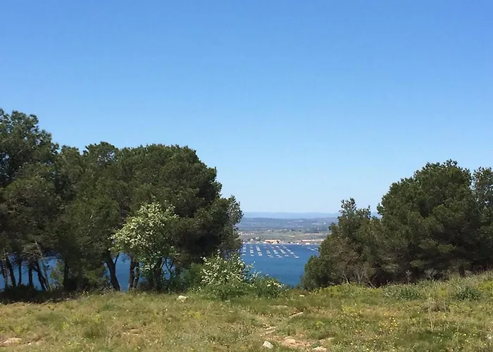 Cosy 4 Pers, 200m Plage, Animaux Admis - Fr-1-338-615 Appartamento Sète